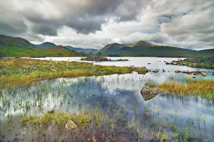 Moorland at Rannoch Moor - United Kingdom, Scotland, Argyll and Bute