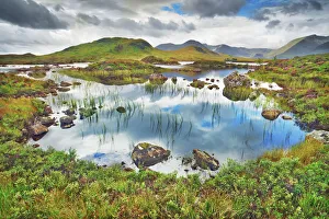 Swamp Prints: Moorland at Rannoch Moor - United Kingdom, Scotland, Argyll and Bute