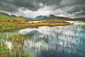 Images Dated 2nd March 2021: Moorland at Rannoch Moor - United Kingdom, Scotland, Argyll and Bute