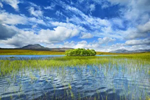 Loch Awe Prints: Moorland - United Kingdom, Scotland, Sutherland, Loch Awe - Highlands