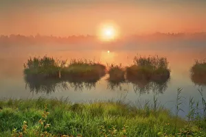 Moorland in Wurzacher Ried - Germany, Baden-Wurttemberg, Tubingen, Ravensburg