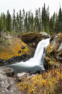 Moose falls, Crawfish Creek, Yellowstone National Park, Wyoming, USA