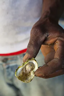 Oysters Prints: Morant Bay Oysters& Firey Chillie Sauce, St. Thomas Parish, Jamaica, Caribbean