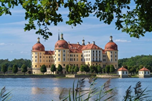 Saxony Prints: Moritzburg Castle, Moritzburg, Meissen, Saxony, Germany