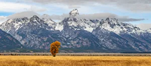 Mormon Row, Grand Teton National Park, Wyoming, USA