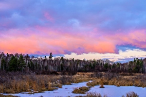 Wetlands Prints: Morning clouds over a beaver pond at sunrise, Greater Sudbury, Ontario, Canada