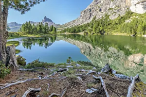 Croda Da Lago Prints: Morning at Federa lake in summer, Cortina d Ampezzo, Belluno, Dolomites, Veneto, Italy