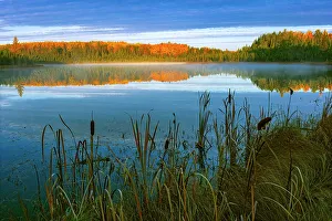 Morning Fog Prints: Morning fog in autumn, Duck Mountain Provincial Park, Manitoba, Canada