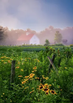 Barn Prints: Morning fog at Muster Field Farm and garden, North Sutton, New Hampshire, USA