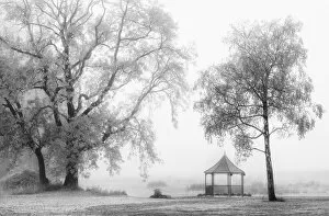 Morning fog, near Grasmere, Cumbria, UK