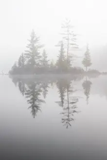 Groton Prints: Morning fog on Ricker Pond, Groton State Forest, Vermont, USA