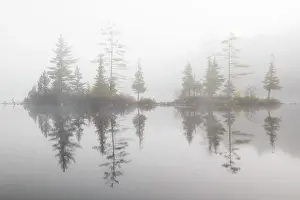 Groton Prints: Morning fog on Ricker Pond, Groton State Forest, Vermont, USA