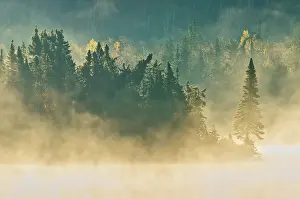 White Lake Prints: Morning fog rises over a northern lake in the boreal forest Near White Lake Ontario