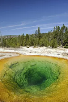 Images Dated 8th June 2009: Morning Glory Pool, Yellowstone National Park, Wyoming, USA