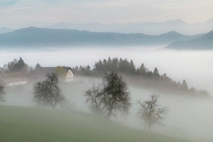 Skofja Loka Prints: Morning Mist Around Farm, Skofja Loka, Slovenia, Europe