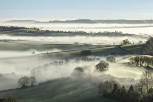 Images Dated 13th October 2021: Morning mist around Lewesdon Hill, Marshwood Vale, Dorset, England, UK
