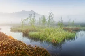 Images Dated 10th March 2021: Morning mist in Moor, Kendlmuehlfilzen, Grassau, Chiemgau, Bavaria, Germany, Europe