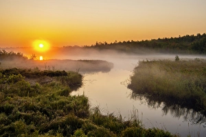 Channels Prints: Morning mists over Robinson Lake creek at sunrise, Greater Sudbury, Ontario, Canada