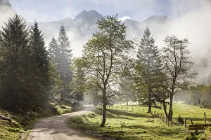 Hiking Trail Prints: Morning mood in Obertal near Schladming, Styria, Austria