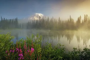 Rainier Prints: Morning at Reflection Lakes with Mt