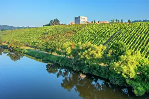 Saar Valley Prints: Morning view at the Van Volxem winery and vinothek with river Saar