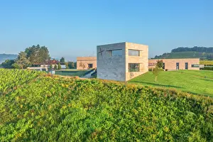 Saar Valley Prints: Morning view at the Van Volxem winery and vinothek with river Saar