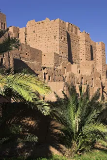 Sahara Desert Gallery: Morocco, Draa Valley, Tamnougalt Kasbah