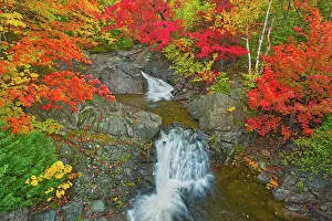 Cape Breton Prints: Morrison Brook and the Acadian forest in autumn foliage Cape Breton, Nova Scotia, Canada