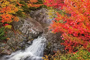 Nova Scotia Prints: Morrison Brook Falls in Hardwood forest in autumn on the Cabot Trail