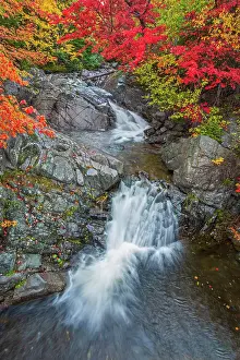 Nova Scotia Prints: Morrison Brook Falls in Hardwood forest in autumn on the Cabot Trail