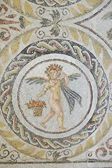 El Djem Prints: Mosaic at the Archaeological Museum, El Jem, Tunisia