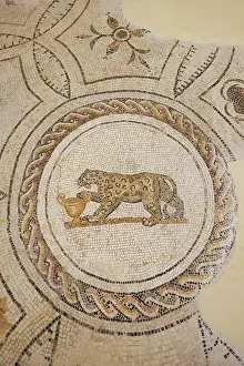 El Djem Prints: Mosaic at the Archaeological Museum, El Jem, Tunisia