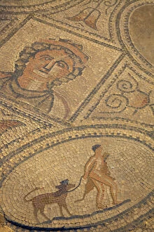 Mosaic At Excavated Roman City, Volubilis, Morocco, North Africa