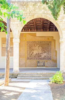 Rhodes Prints: The mosaic floor of Bellerophon and Chimaira