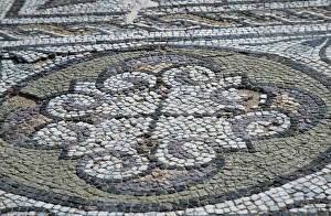 Sahara Desert Gallery: A mosaic on the floor of the Seaward or Ocean Baths
