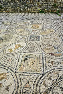 Roman Ruins Prints: Mosaic tiled floors at the archaeological Site of Volubilis