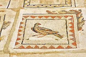 Roman City Prints: Mosaics in the House of the Birds. Italica, a Roman city near Seville. Andalusia, Spain