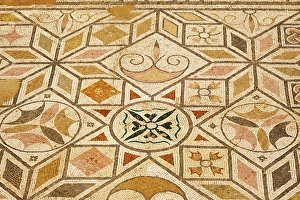 Roman City Prints: Mosaics in Roman city of Italica, near Seville. Andalusia, Spain