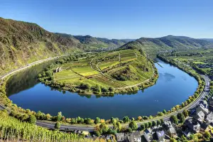Mosel with Calmont vineyard, Bremm, Rhineland-Palatinate, Germany