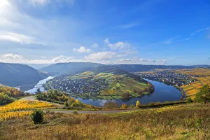 Horseshoe Bend Prints: Mosel horseshoe bend at Krov, Mosel valley, Rhineland-Palatinate, Germany