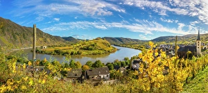 Panorama Prints: Moselle loop and wine town of Bremm, Mosel, Rhineland-Palatinate, Germany