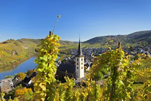 Rheinland Pfalz Gallery: Moselle rivel loop, Bremm, Moselle Valley, Rhineland-Palatinate, Germany