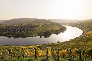 Small Town Prints: Moselle rivel loop, Krov, Moselle Valley, Rhineland-Palatinate, Germany