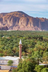 Relgious Building Prints: Mosque minaret & Date palms in the Oasis of Al-Ula, Medina Province, Saudi Arabia