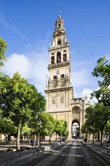 Images Dated 24th July 2018: The Mosqueaa'Cathedral (Mezquita) of Caordoba, Cordoba, Andalucia, Spain