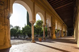The Mosqueaa'Cathedral (Mezquita) of Caordoba at dawn, Cordoba, Andalucia, Spain