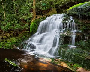 Q3 2025 Prints: Moss at Elakala Falls in Blackwater Falls State Park, West Virginia, USA