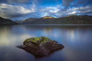 Alba Gallery: Moss on rock in Loch Lomond, Inveruglas, Loch Lomond and The Trossachs National Park