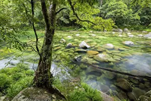 Queensland Prints: Mossman River at Mossman Gorge, Daintree National Park, Queensland, Australia