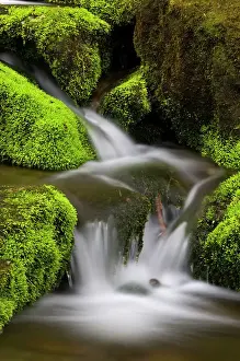 Fresh Water Prints: Mossy cascade, Great Smoky Mountains National Park, Tennessee, USA